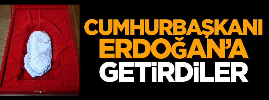 Cumhurbaşkanı Erdoğan'a getirdiler!