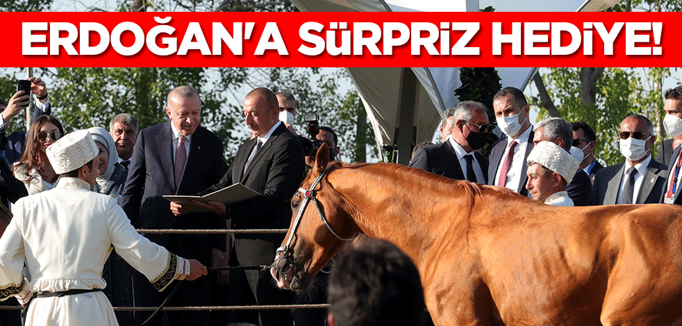 Cumhurbaşkanı Erdoğan'a Şuşa'da sürpriz hediye!