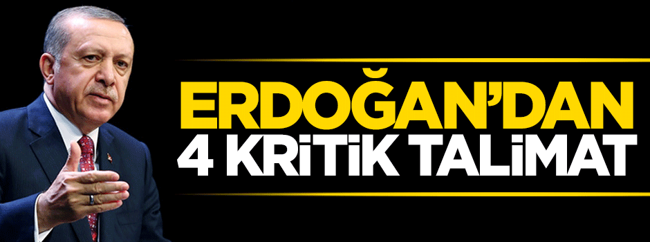 Cumhurbaşkanı Erdoğan'dan 4 kritik talimat