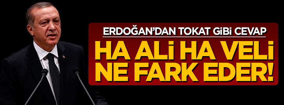 Cumhurbaşkanı Erdoğan'dan ABD'ye YPG tepkisi: Ha Ali ha Veli ne fark eder