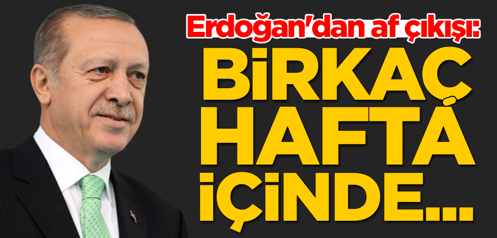 Cumhurbaşkanı Erdoğan'dan af çıkışı: Birkaç hafta içinde Meclis'e gelecek