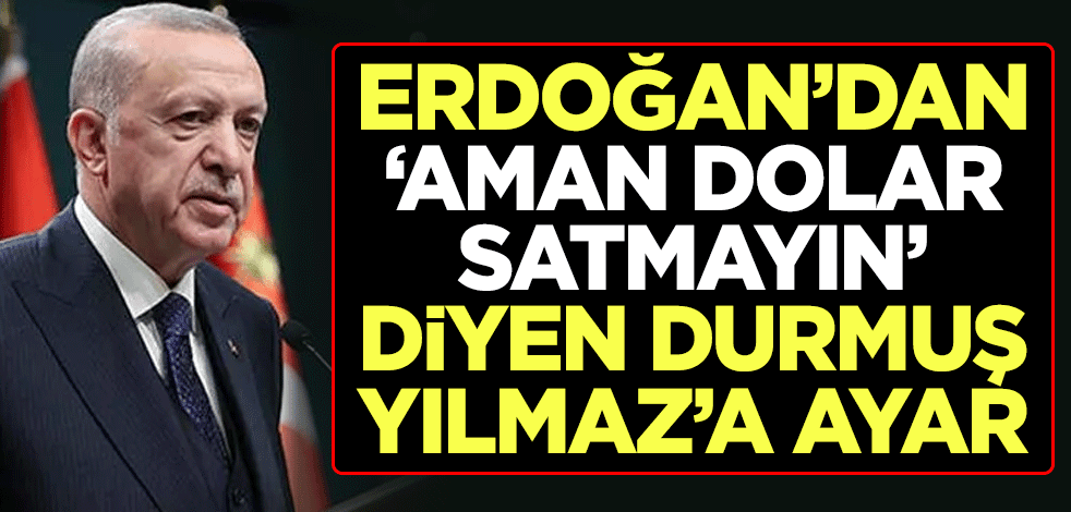 Cumhurbaşkanı Erdoğan'dan "Aman dolar satmayın" diyen Durmuş Yılmaz'a ayar