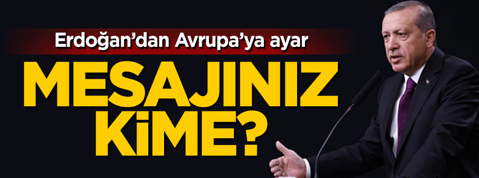 Cumhurbaşkanı Erdoğan'dan AP'ye ayar: Mesajınız nereye?