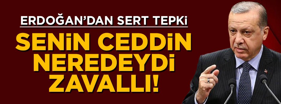 Cumhurbaşkanı Erdoğan'dan BAE'li bakana sert cevap