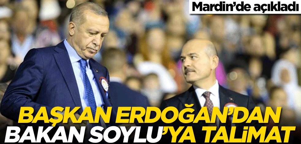 Cumhurbaşkanı Erdoğan'dan Bakan Süleyman Soylu'ya talimat
