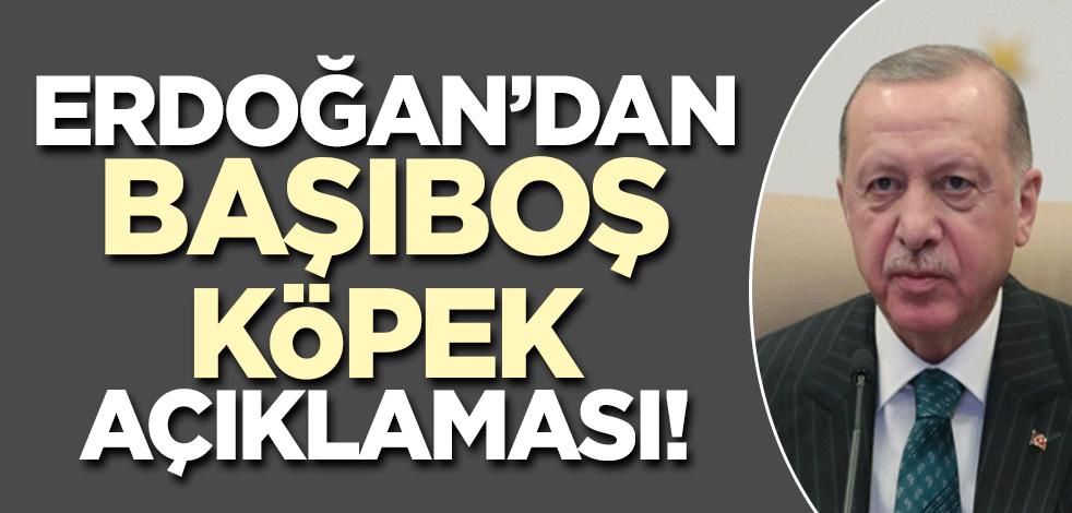 Cumhurbaşkanı Erdoğan'dan başıboş köpek açıklaması!