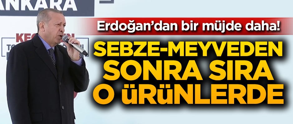 Cumhurbaşkanı Erdoğan'dan bir müjde daha! Sebze-Meyveden sonra sıra o ürünlerde
