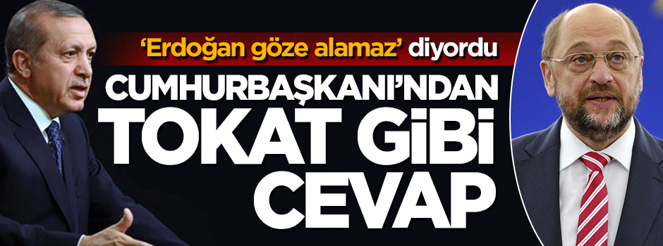 Cumhurbaşkanı Erdoğan'dan 'cesaret edemez' diyen AP Başkanına cevap