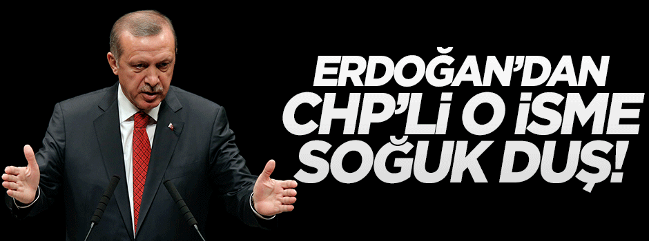 Cumhurbaşkanı Erdoğan'dan CHP'li Eren Erdem'e dava!
