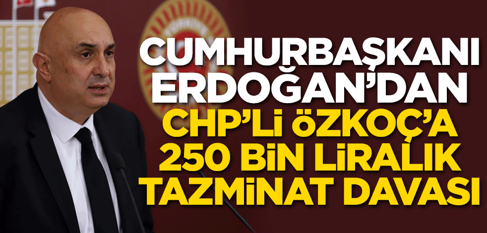 Cumhurbaşkanı Erdoğan'dan CHP'li Özkoç'a 250 bin liralık tazminat davası