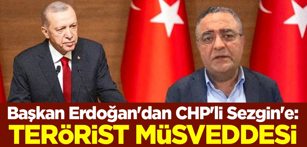 Cumhurbaşkanı Erdoğan'dan CHP'li Sezgin Tanrukulu'na: Sözde vekil terörist müsveddesi