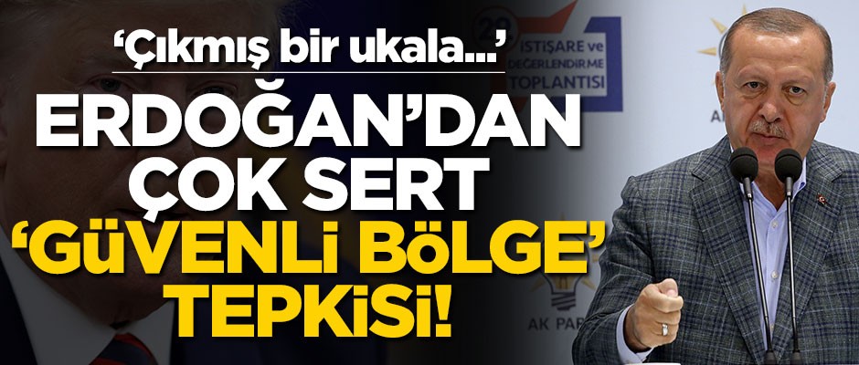 Cumhurbaşkanı Erdoğan’dan çok sert Güvenli Bölge tepkisi! "Çıkmış bir ukala..."