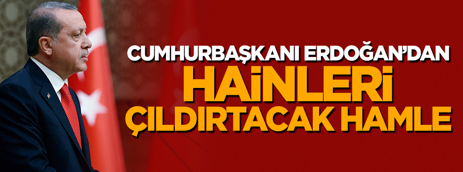 Cumhurbaşkanı Erdoğan'dan darbe girişimine yönelik suç duyurusu