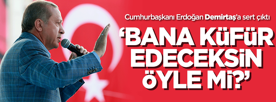 Reis-i Cumhur Erdoğan'dan Demirtaş'a: Ciğersiz