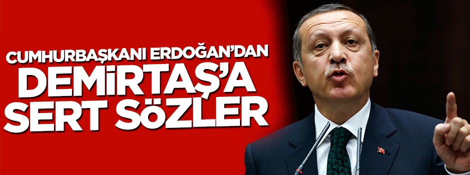 Cumhurbaşkanı Erdoğan'dan Demirtaş'a sert sözler