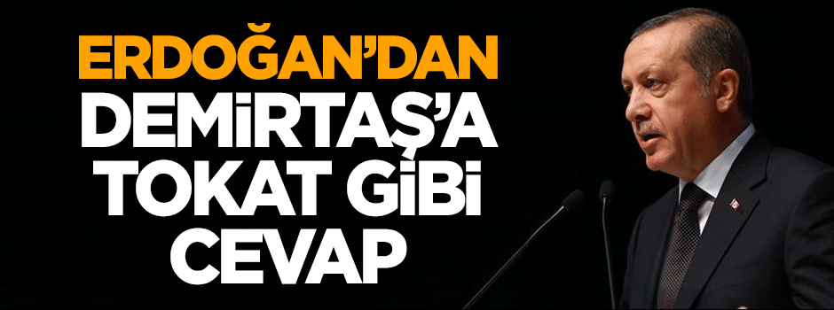 Cumhurbaşkanı Erdoğan'dan Demirtaş'a tokat gibi cevap