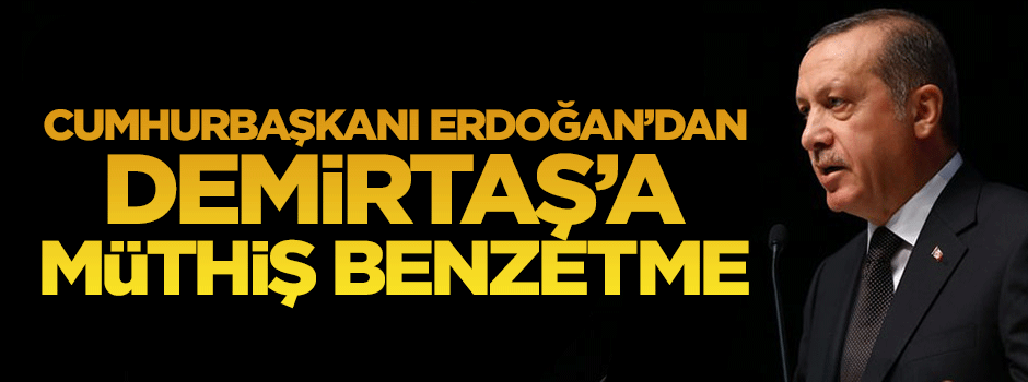 Cumhurbaşkanı Erdoğan'dan, Demirtaş’a ’yavuz hırsız' benzetmesi!