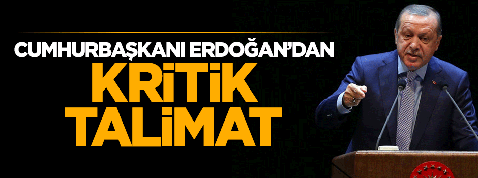 Cumhurbaşkanı Erdoğan'dan Devlet Denetleme Kurulu’na yeni talimat
