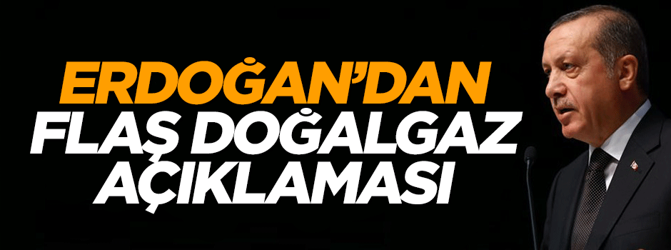 Cumhurbaşkanı Erdoğan'dan doğalgaz açıklaması