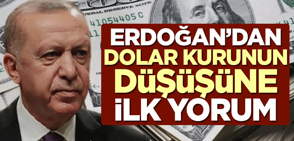 Cumhurbaşkanı Erdoğan'dan dolar kurunun düşüşüne ilk yorum