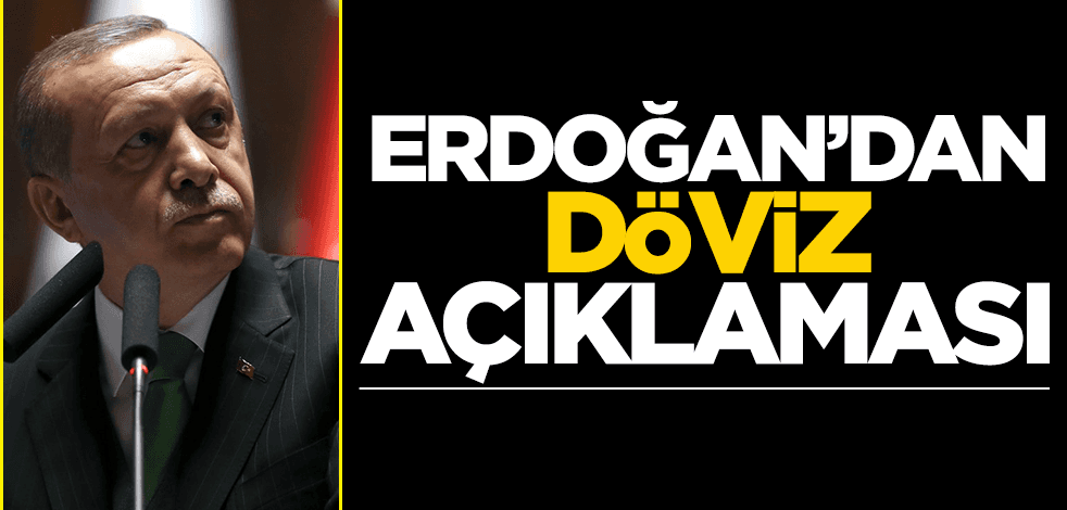 Cumhurbaşkanı Erdoğan'dan döviz mesajı