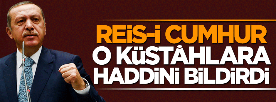 Cumhurbaşkanı Erdoğan'dan 'İstikrar için Erdoğan gitmeli' diyenlere tokat gibi yanıt