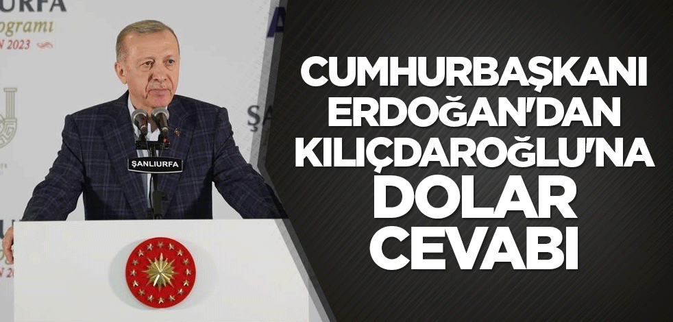Cumhurbaşkanı Erdoğan'dan Kılıçdaroğlu'na dolar cevabı