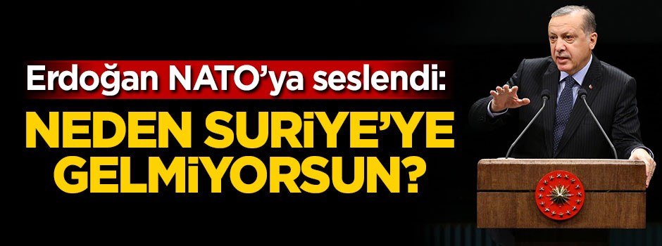 Cumhurbaşkanı Erdoğan'dan NATO'ya çağrı!