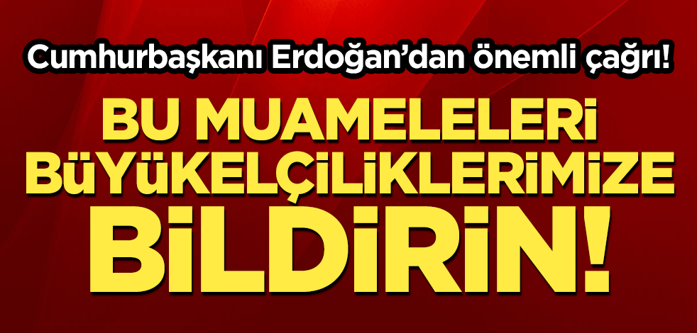 Cumhurbaşkanı Erdoğan'dan önemli açıklamalar! "Bu muameleleri büyükelçiliklerimize bildirin"