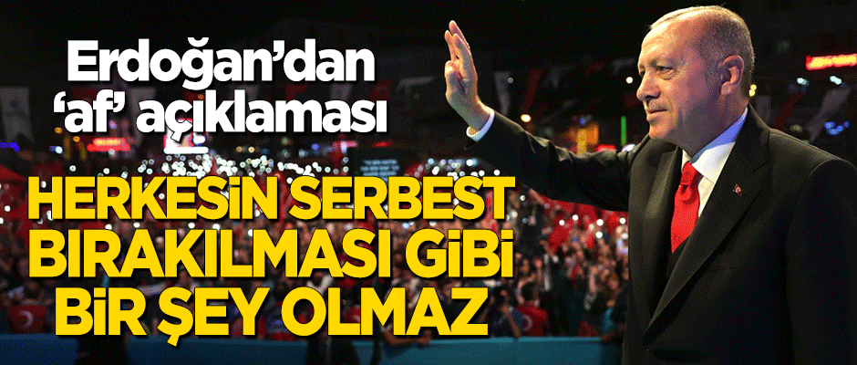 Cumhurbaşkanı Erdoğan'dan önemli 'af' açıklaması!
