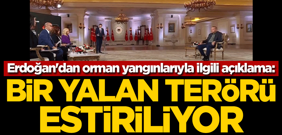 Cumhurbaşkanı Erdoğan'dan orman yangınlarıyla ilgili açıklama: Bir yalan terörü estiriliyor