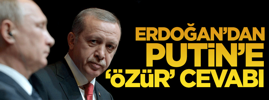 Cumhurbaşkanı Erdoğan'dan Putin' e 'özür' cevabı