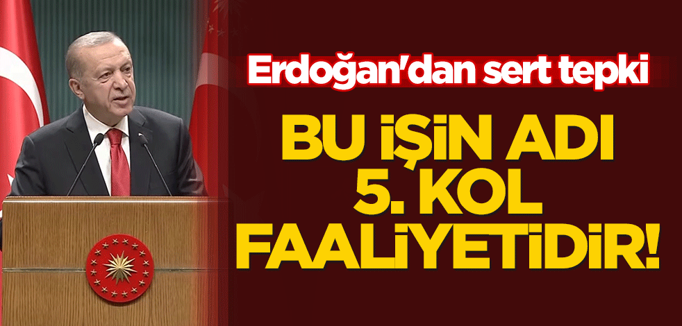 Cumhurbaşkanı Erdoğan'dan sert tepki: Bu işin adı 5. kol faaliyetidir!
