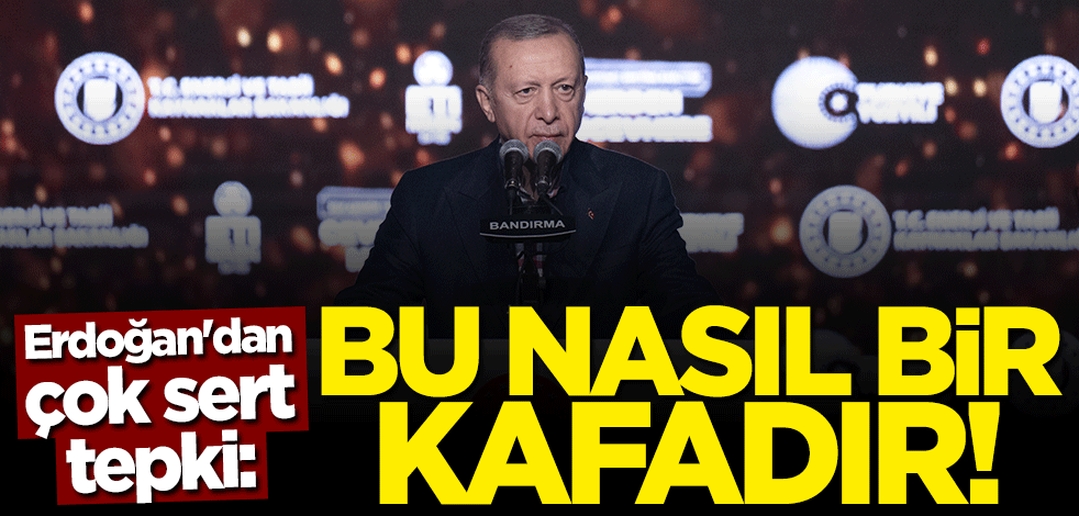 Cumhurbaşkanı Erdoğan'dan sert tepki: Bu nasıl bir kafadır!