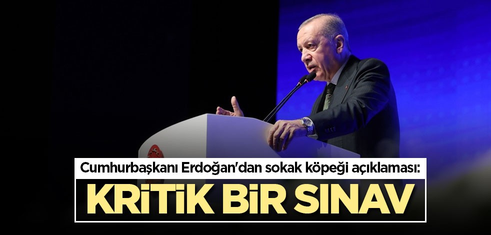 Cumhurbaşkanı Erdoğan'dan sokak köpeği açıklaması: Kritik bir sınav