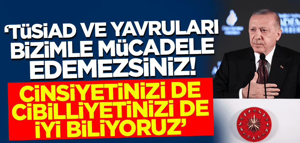 Cumhurbaşkanı Erdoğan'dan TÜSİAD'a sert tepki
