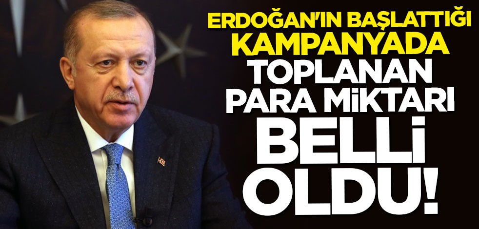 Cumhurbaşkanı Erdoğan'ın başlattığı kampanyada toplanan para miktarı belli oldu