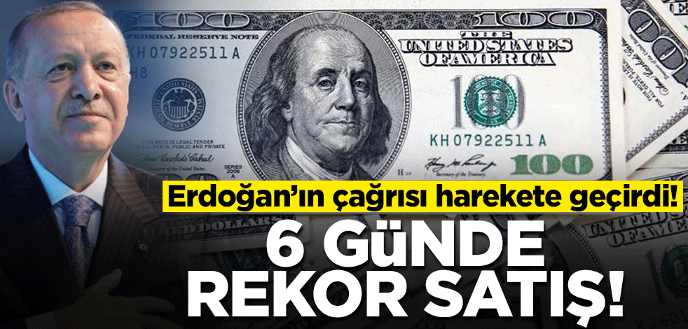 Cumhurbaşkanı Erdoğan'ın çağrısı harekete geçirdi! 6 günde rekor satış