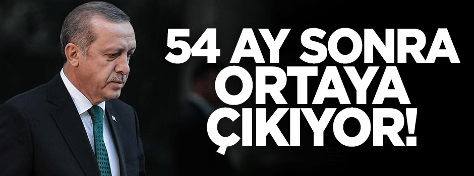 Cumhurbaşkanı Erdoğan'ın istediği 'babayiğit' meydana çıkıyor