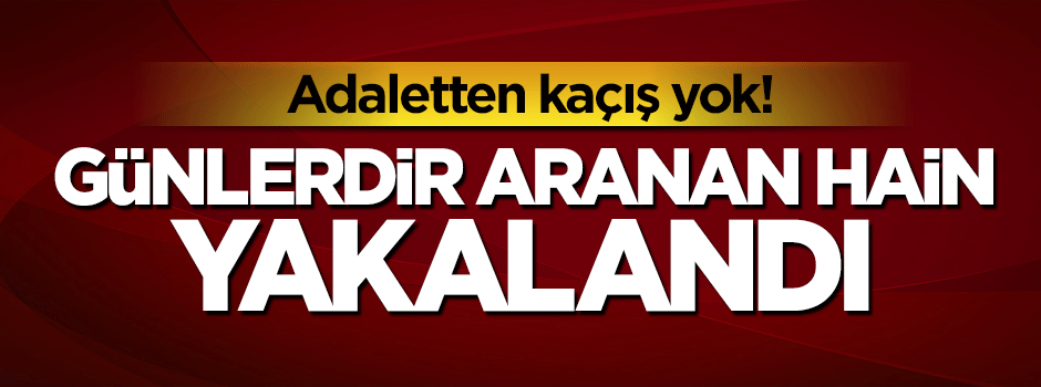 Cumhurbaşkanı Erdoğan'ın kaldığı otele saldıran bir hain daha enselendi