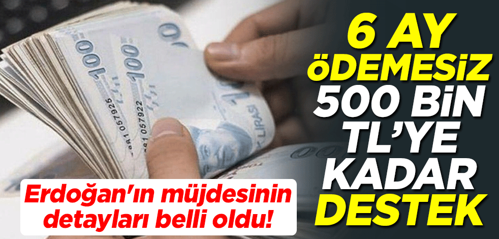 Cumhurbaşkanı Erdoğan'ın müjdesinin detayları belli oldu! 6 ay ödemesiz 500 bin TL'ye kadar destek