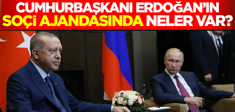 Cumhurbaşkanı Erdoğan’ın Soçi ajandasında neler var?