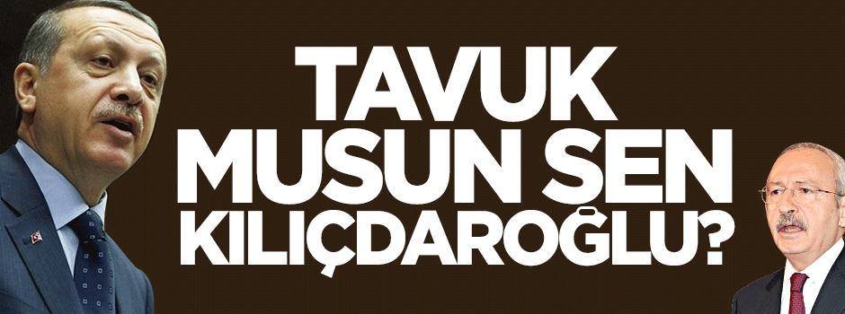 Cumhurbaşkanı Erdoğan:Tavuk musun sen Kılıçdaroğlu?