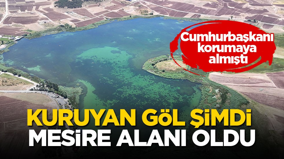 Cumhurbaşkanı korumaya almıştı! Kuruyan göl şimdi mesire alanı oldu