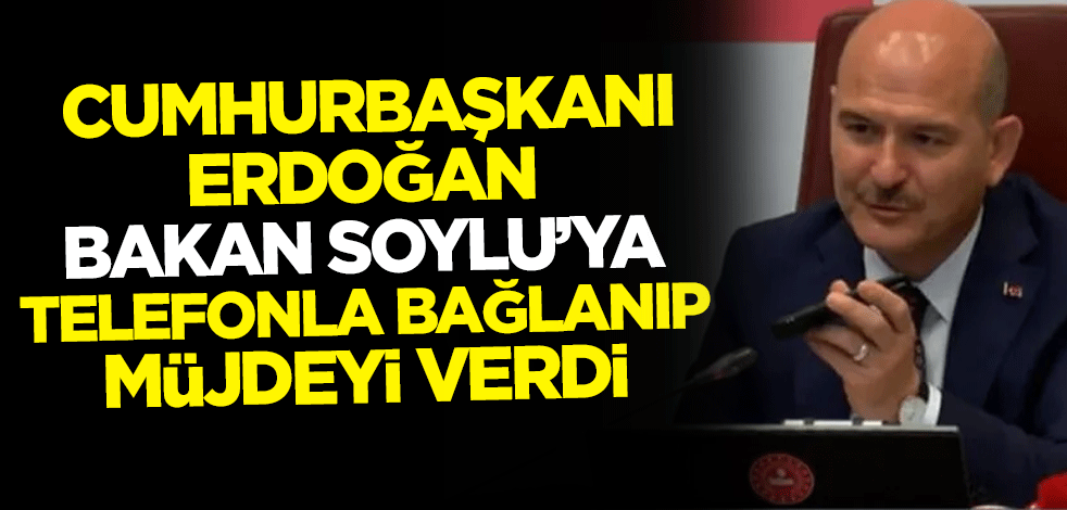 Cumhurbaşkanı Recep Tayyip Erdoğan İçişleri Bakanı Süleyman Soylu'ya telefonla bağlanıp müjdeyi verdi