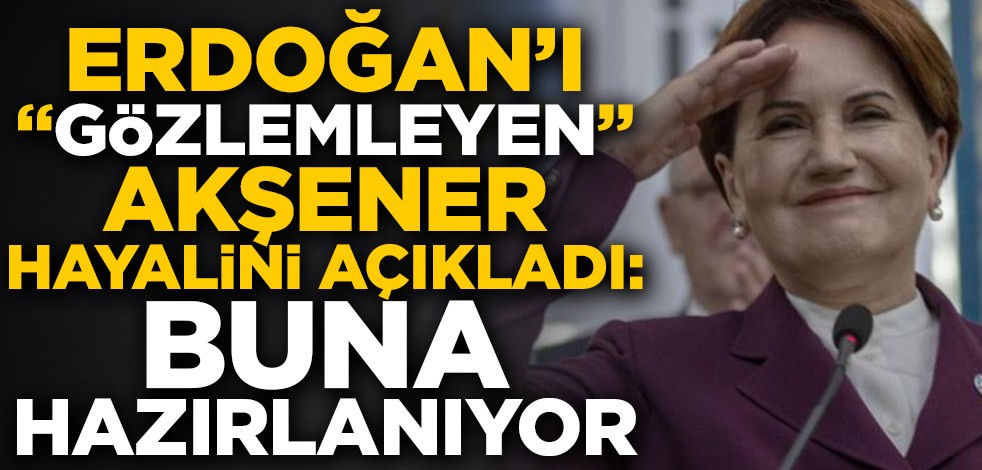 Cumhurbaşkanı Recep Tayyip Erdoğan'ı "gözlemleyen" Meral Akşener hayalini açıkladı: Buna hazırlanıyor