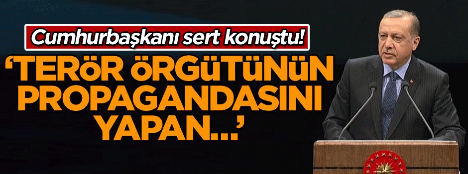 Cumhurbaşkanı sert konuştu! ‘Terör örgütünün propagandasını yapan…’