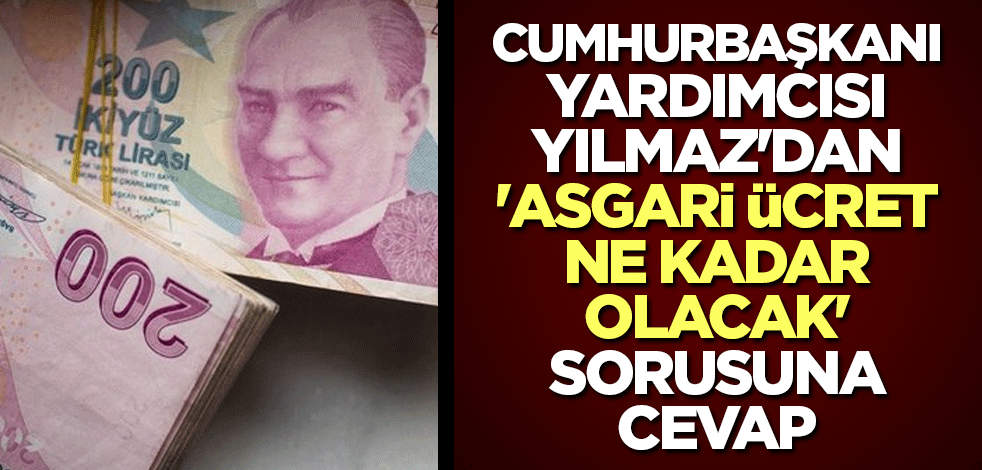 Cumhurbaşkanı Yardımcısı Cevdet Yılmaz'dan 'Asgari ücret ne kadar olacak' sorusuna cevap