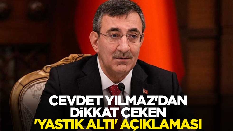 Cumhurbaşkanı Yardımcısı Cevdet Yılmaz'dan dikkat çeken 'yastık altı' açıklaması