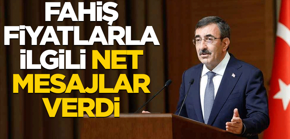 Cumhurbaşkanı Yardımcısı Cevdet Yılmaz'dan fahiş fiyatlarla ilgili net mesajlar